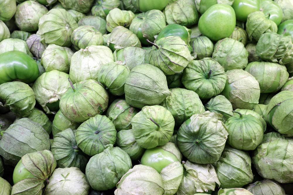 Tomatillo Samen*