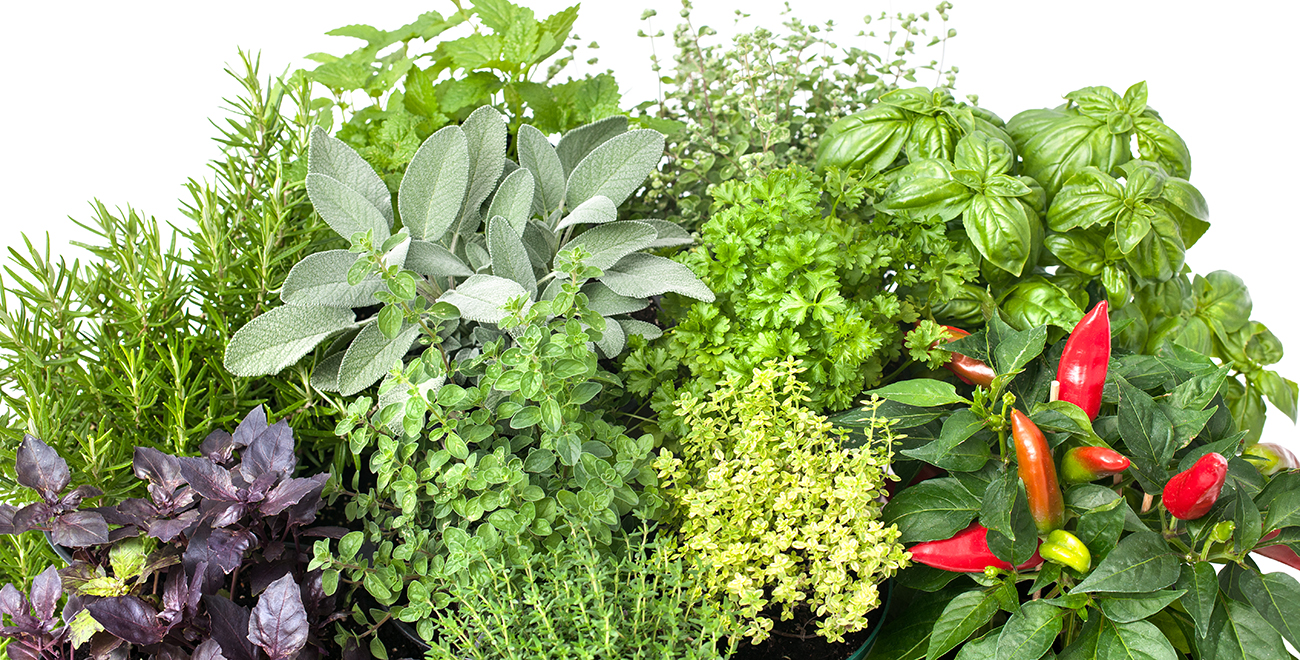 wintergemüse 1300x660 Kopie wintergemüse 1300x660 Kopie