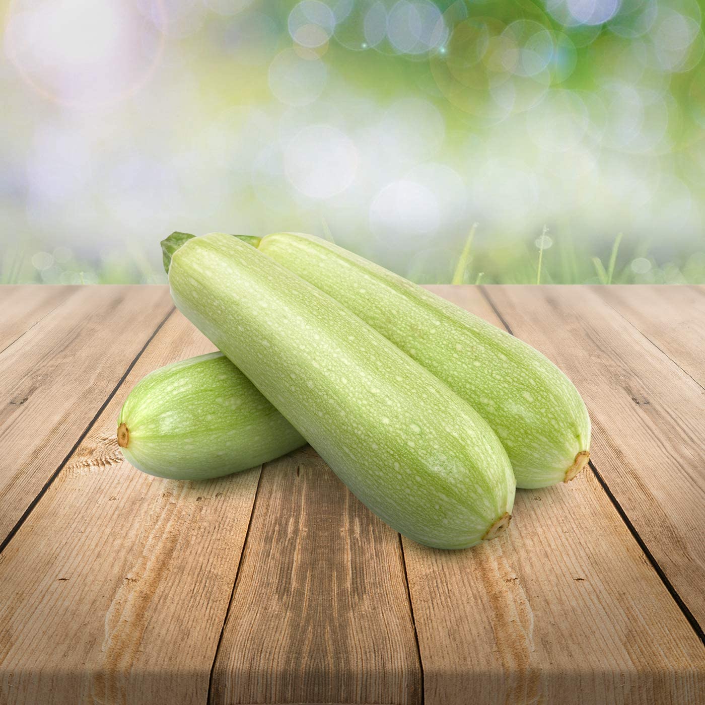 *Weiße Zucchini "Long White Bush"