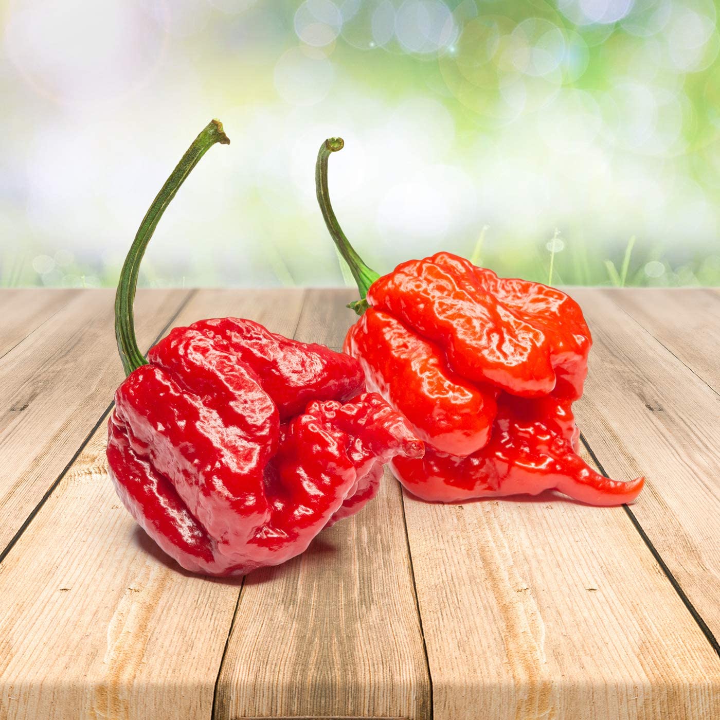 *Chili - Carolina Reaper