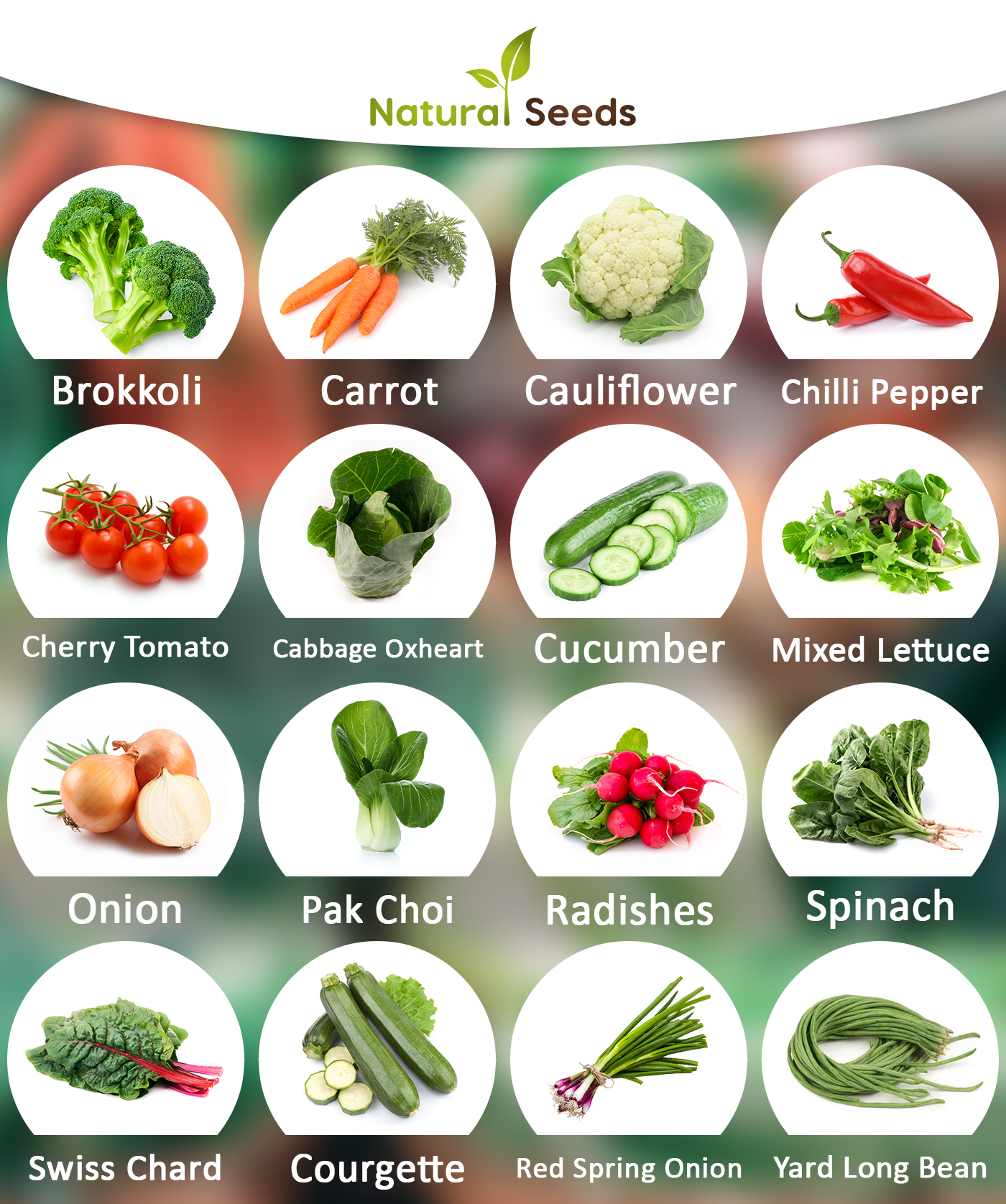 *Vegetable Seed Set - 16 Vegetable Varieties from Portugal | 100% natural seeds