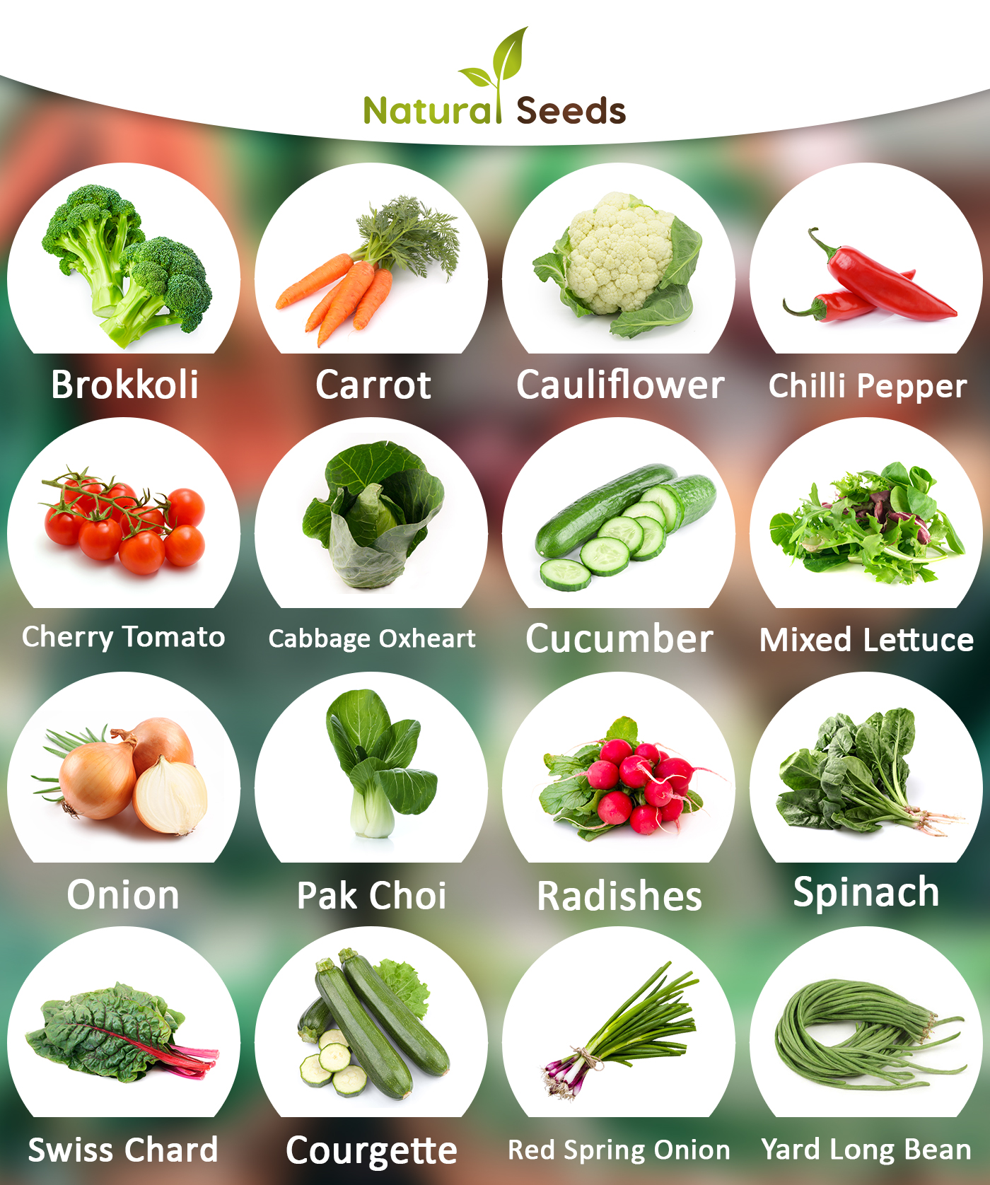*Vegetable Seed Set - 16 Vegetable Varieties from Portugal | 100% natural seeds *Vegetable Seed Set - 16 Vegetable Varieties from Portugal | 100% natural seeds