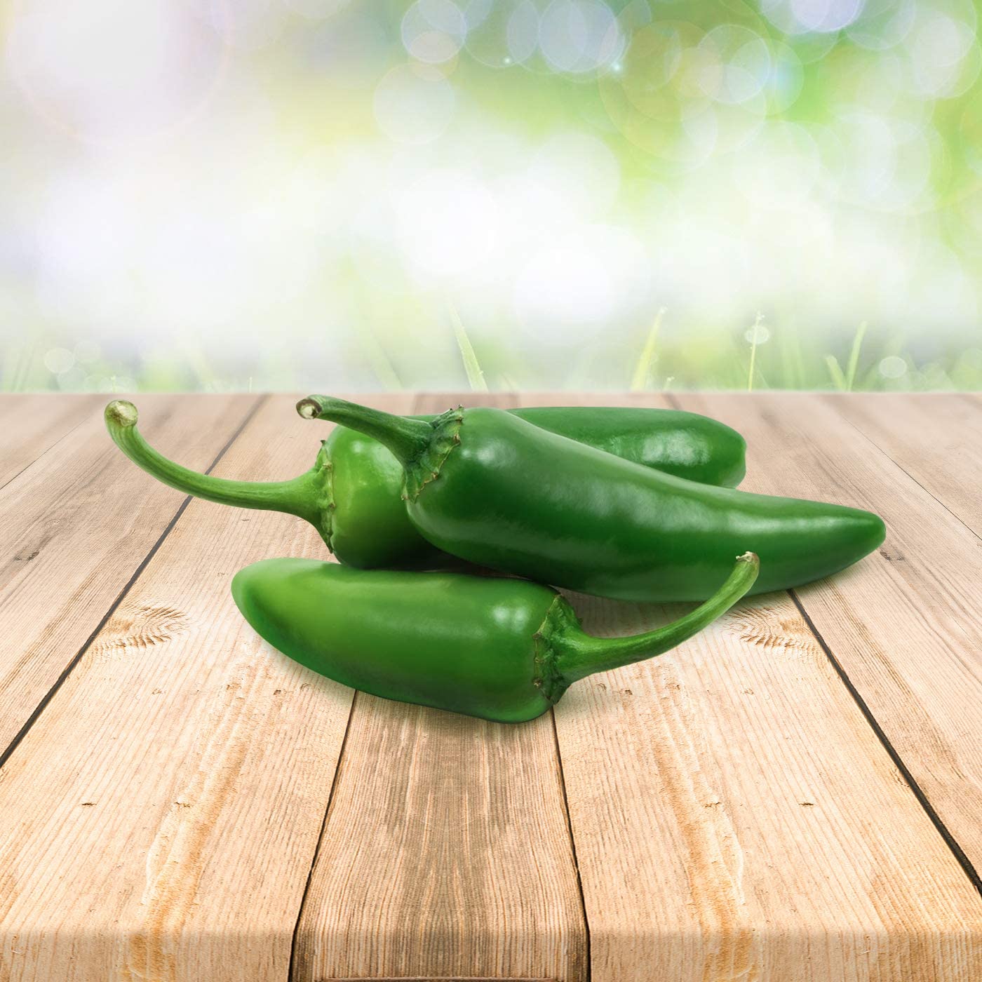 Chili Jalapeno Samen *