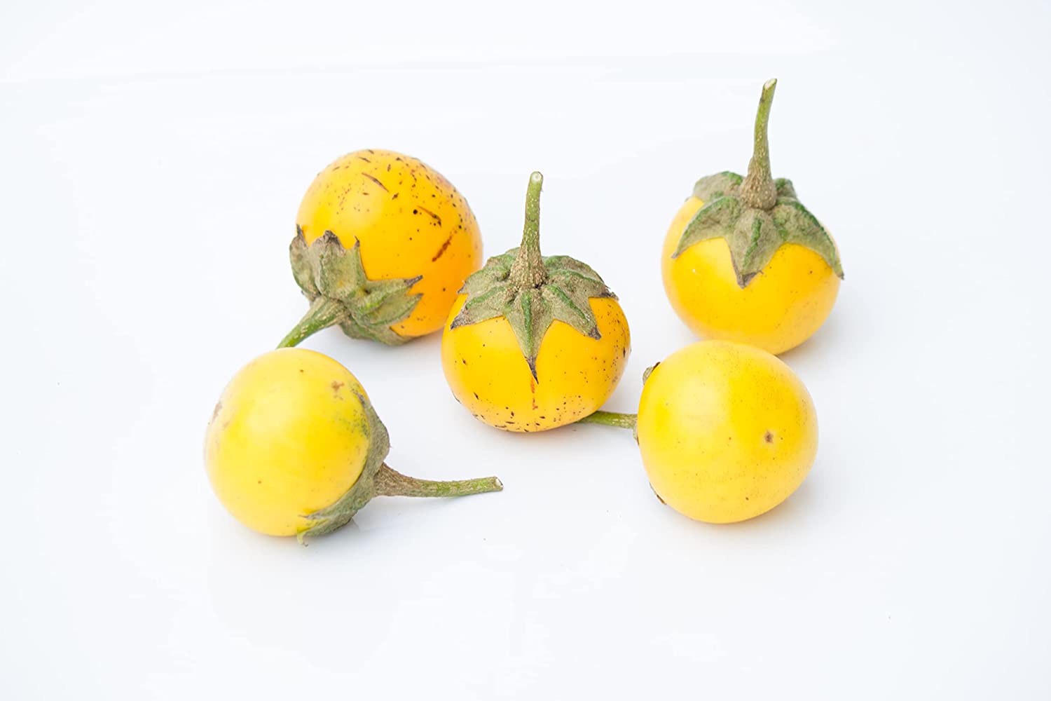 Mini-Auberginensamen  "Golden Egg" Mini-Auberginensamen  "Golden Egg"