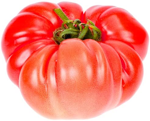 Fleisch-Tomatensamen ''Brutus''