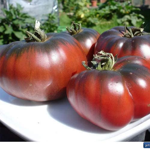 *Tomate ''Black Krim/Noire de Crimee''