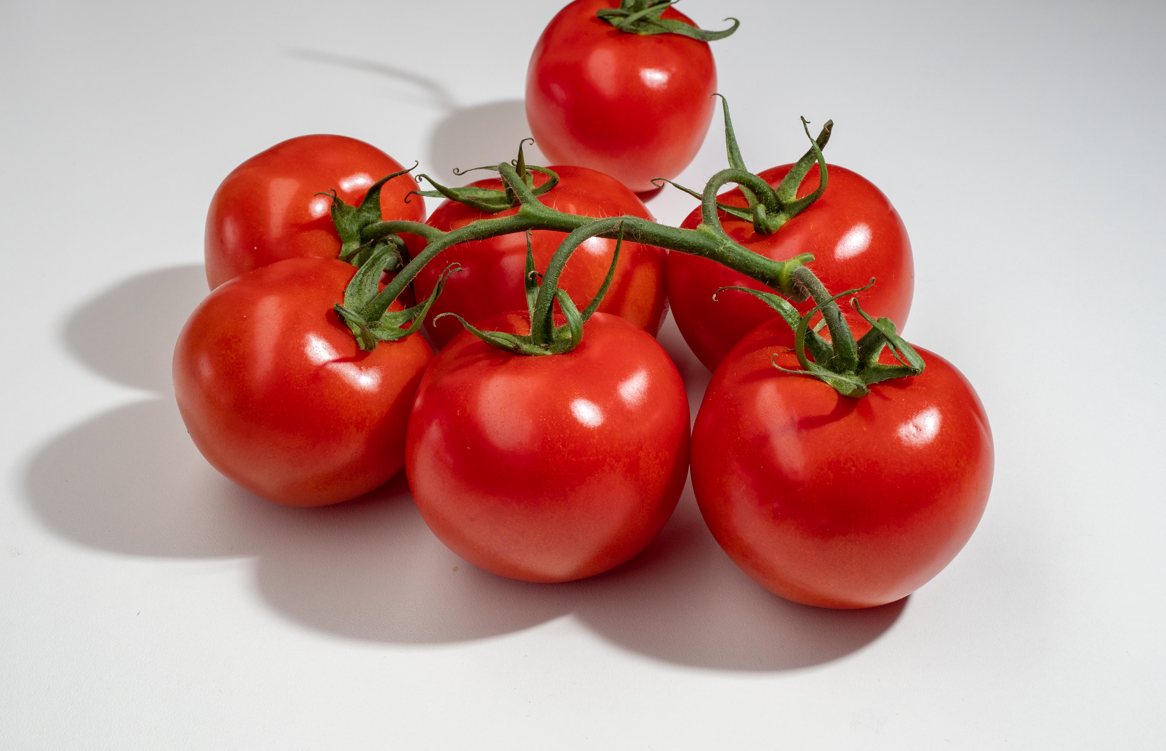 Ampel-Tomatensamen  ''Gartenperle'' Ampel-Tomatensamen  ''Gartenperle''