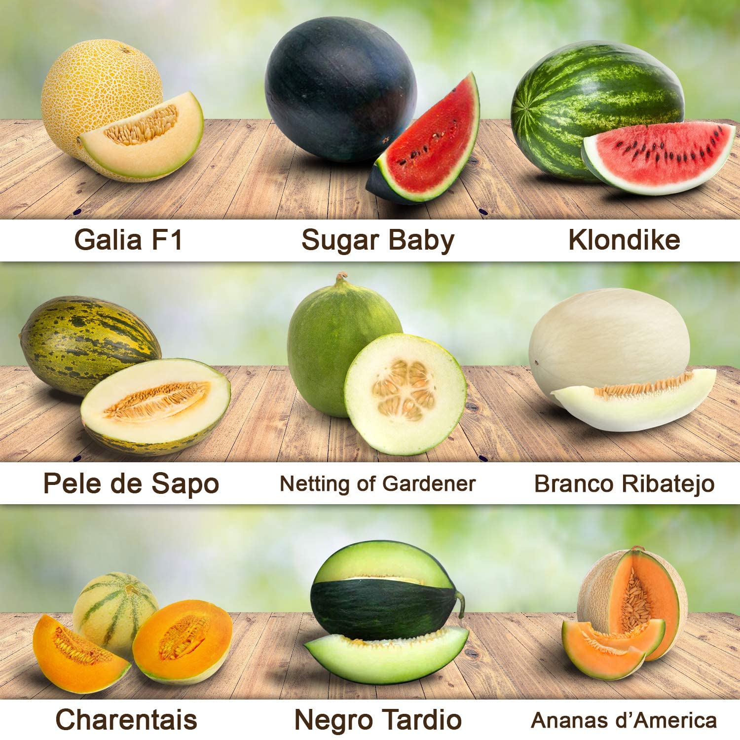 *9 verschiedene Melonen-Sorten