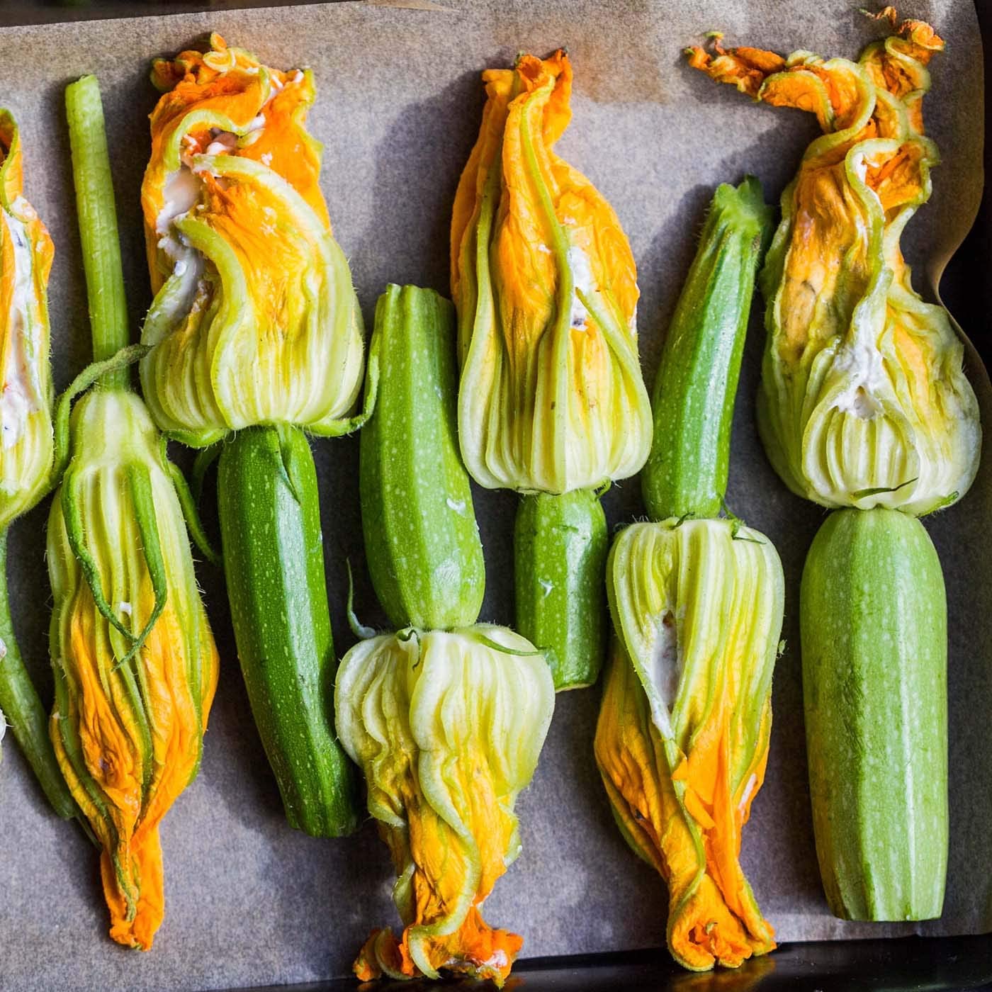 *Weiße Zucchini "Long White Bush"