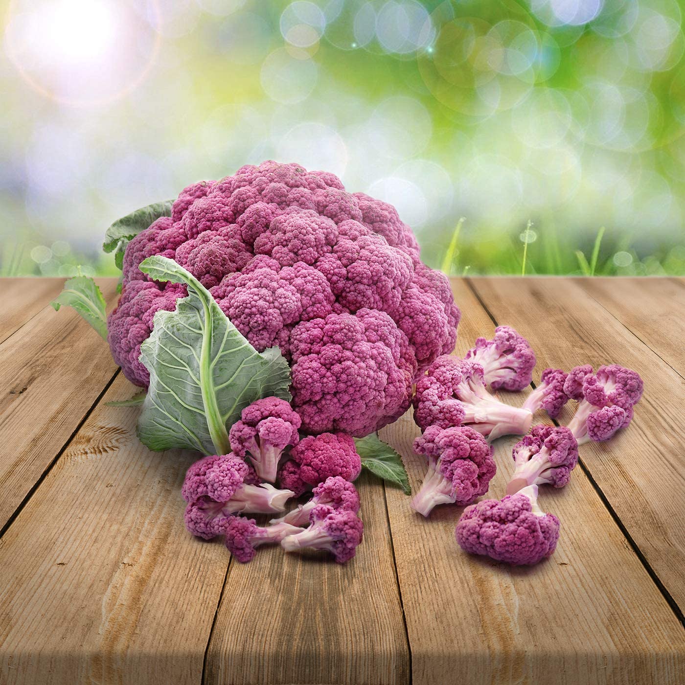 Lila  Brokkoli Samen Lila  Brokkoli Samen