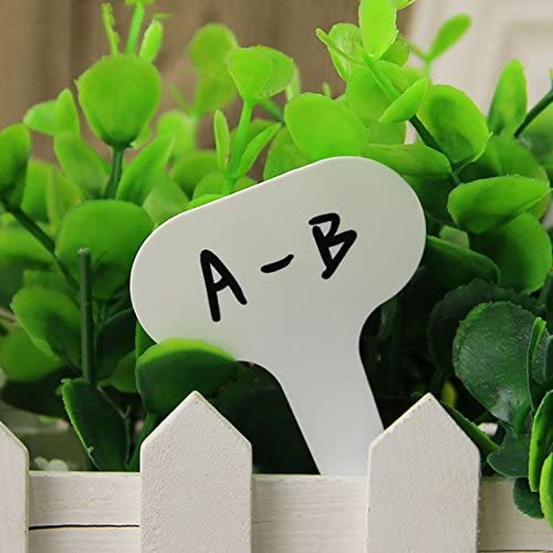 *50 Plant Signs