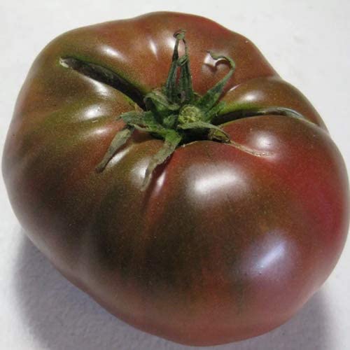 *Tomate ''Black Krim/Noire de Crimee''