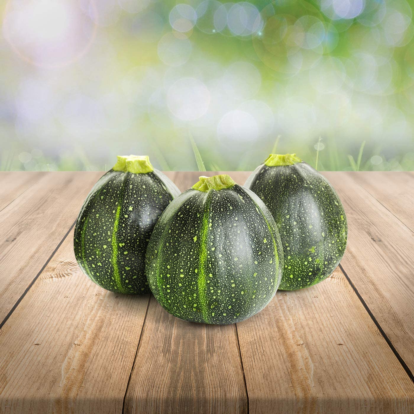 *Runde Zucchini  "Tondo di Piacenza" 