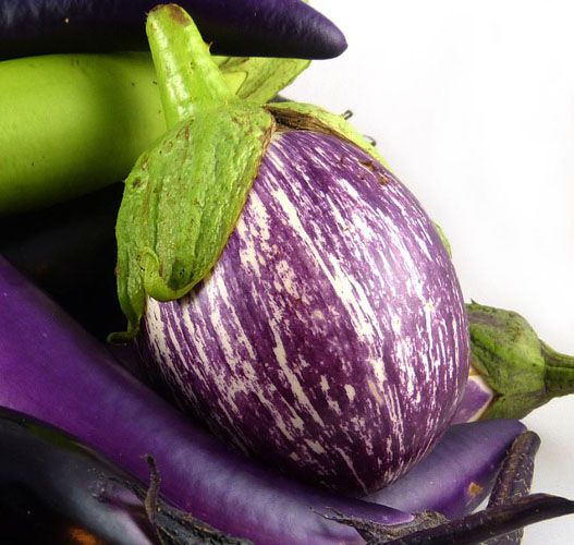 *Aubergine "Tonda Bianca"