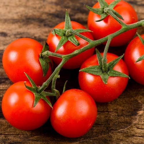 *Cherry-Tomate | Kirsch-Tomate *Cherry-Tomate | Kirsch-Tomate