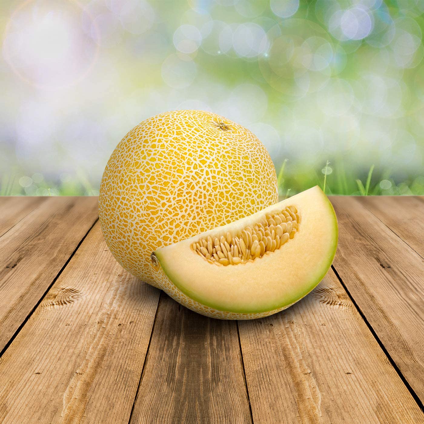 *Melon Galia | Cantaloupe | 5 x seeds