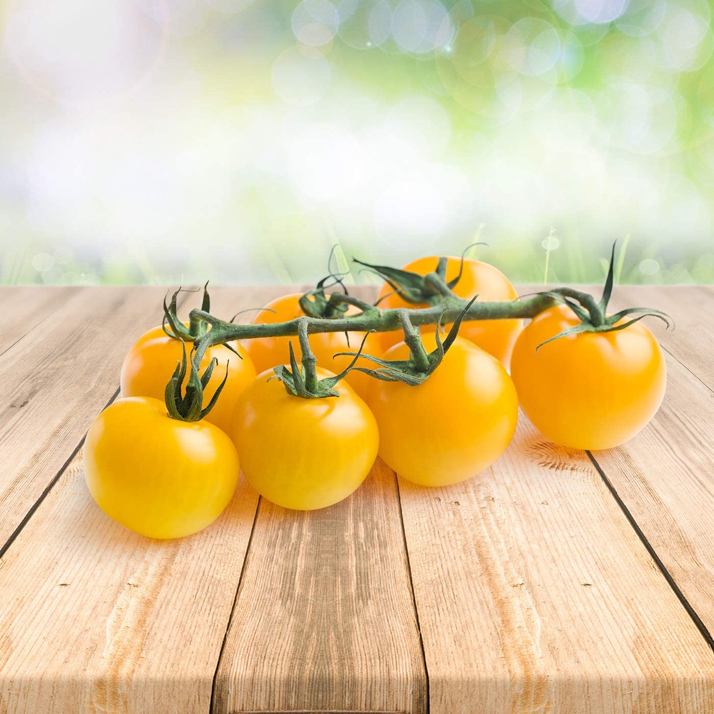 *Tomato ''Gelbe Cocktail''