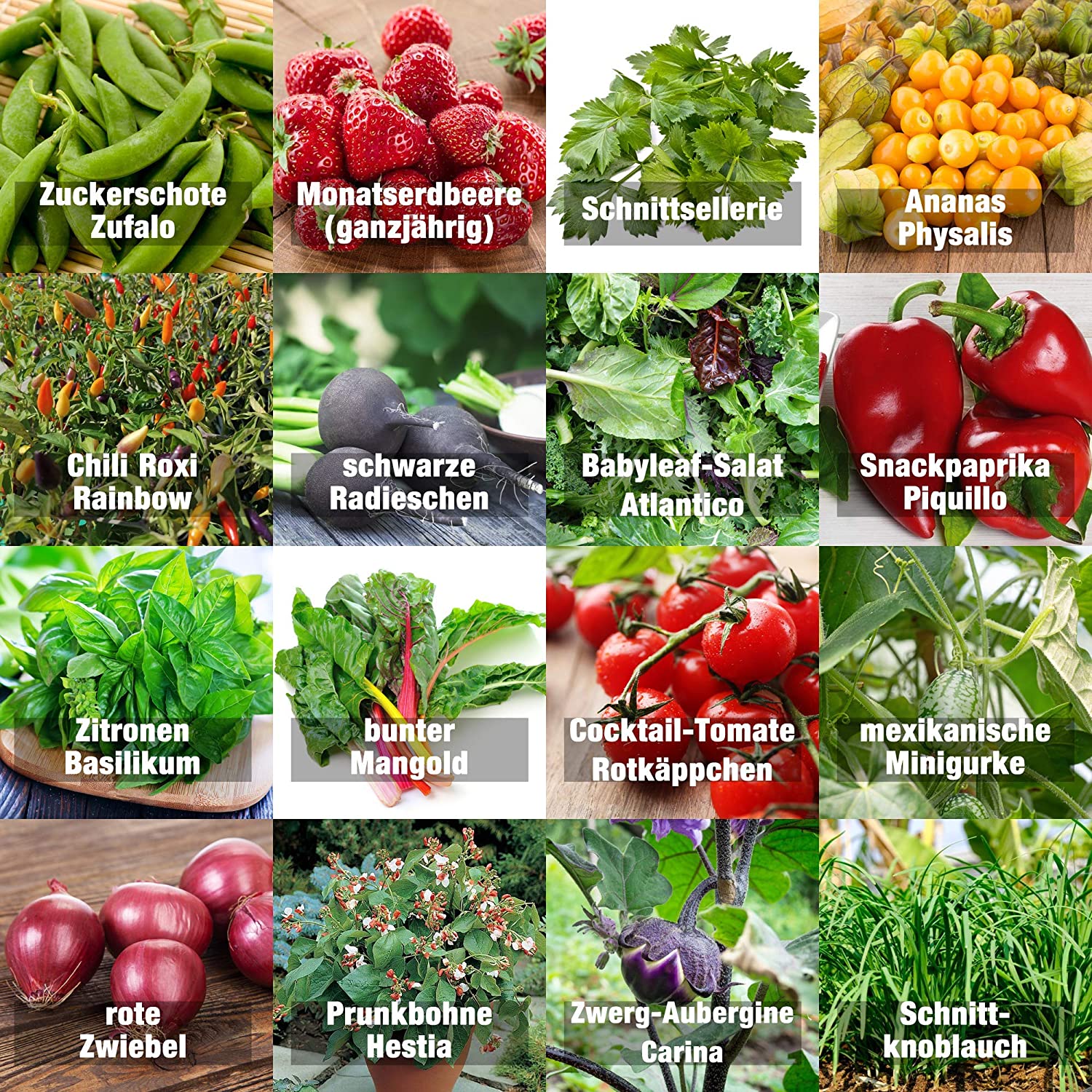 *Gemüse-Set | Indoormix | Balkontauglich