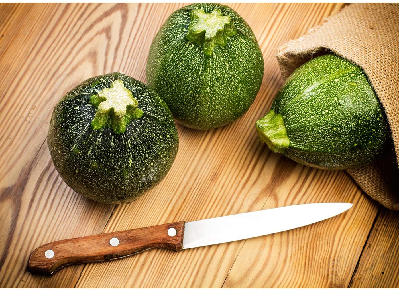 runde Zuccini Samen "Tondo di Piacenza" *