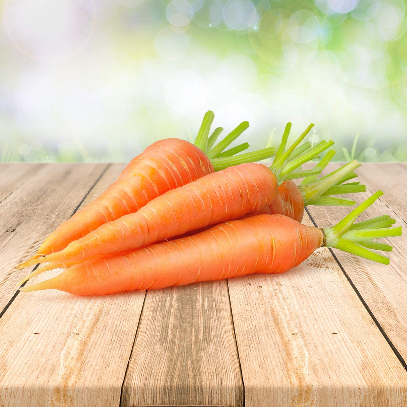 Karottensamen / Möhrensamen  Karottensamen / Möhrensamen