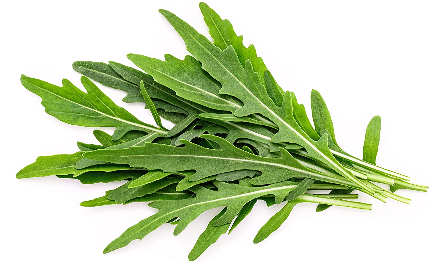 Sementes de Legumes